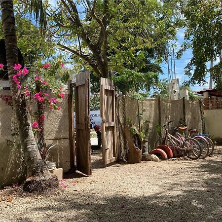 Hotel Selva Bacalar - Free Bike Rental Dış mekan fotoğraf