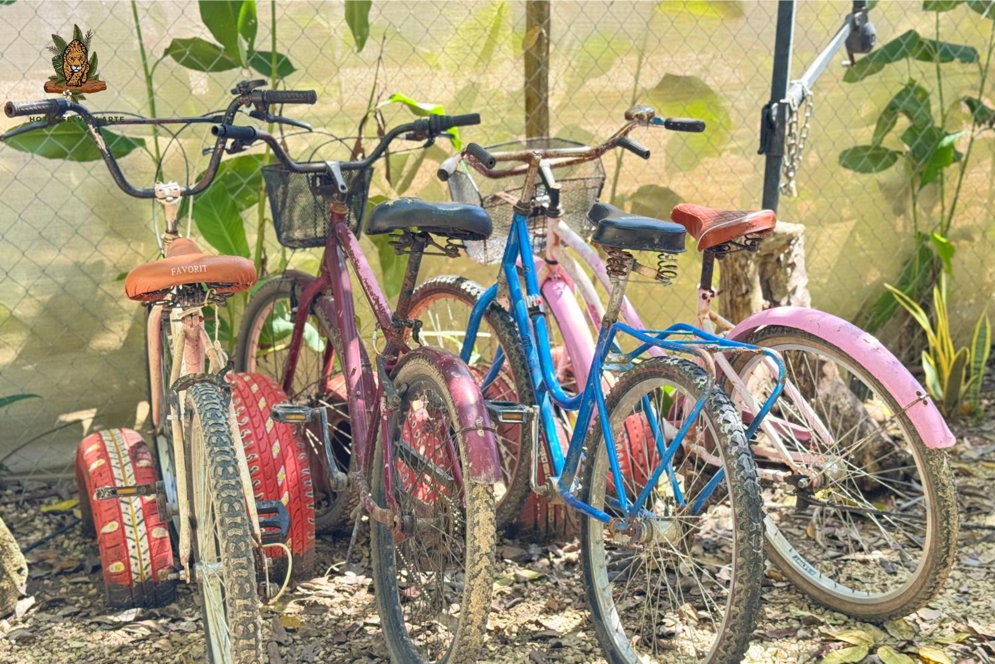Hotel Selva Bacalar - Free Bike Rental Dış mekan fotoğraf