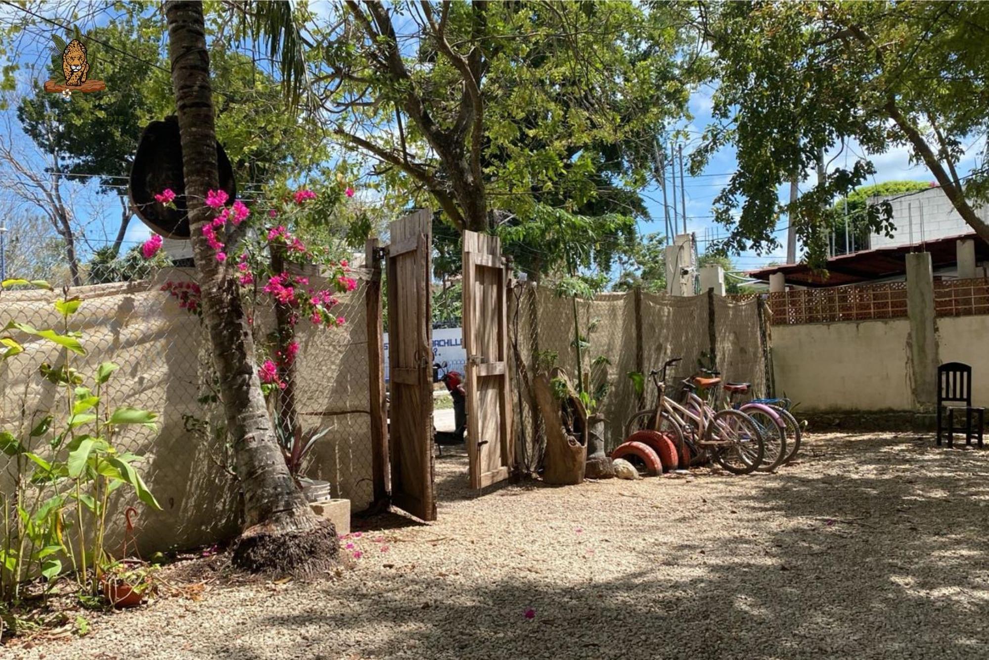 Hotel Selva Bacalar - Free Bike Rental Dış mekan fotoğraf